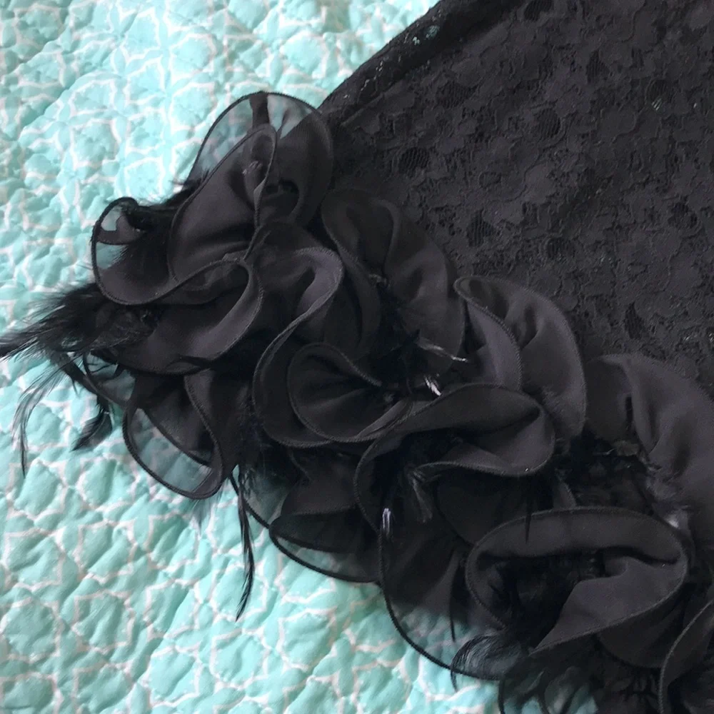 Vintage sheer lace dress with feather ruffle - Picture 8 of 8